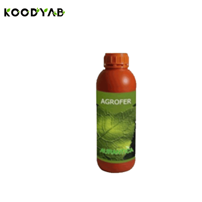 کود اگریفر اورانتیکا