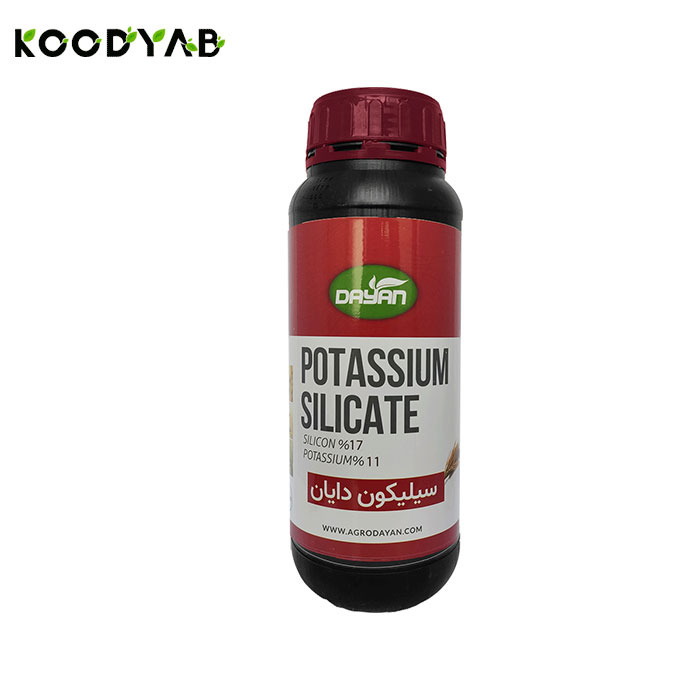 کود سیلیکون دایان