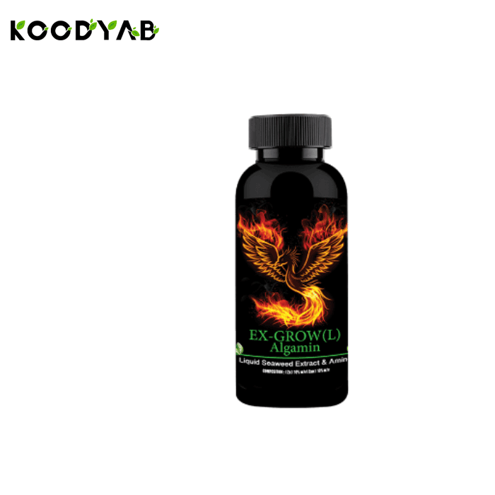 کود آلگامین ال 1 سبز آذر کاسپین