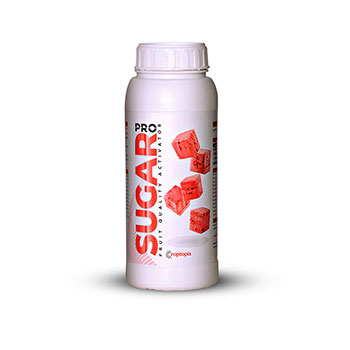 کود پروشوگر راپتوپیا