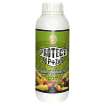 کود محافظت کننده زینک فسفر رایحه دشت سبز ایرانیان