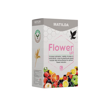 کود فلاور آپ ماتیلدا