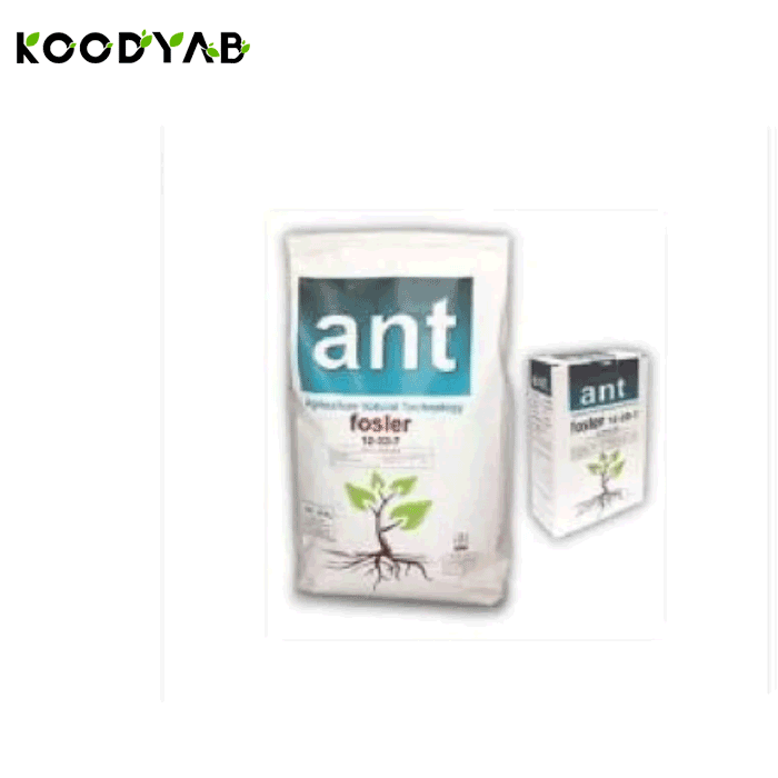 کود فوسلر اِی اِن تی