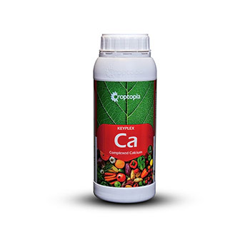 کود  کی پلکس کلسیم راپتوپیا