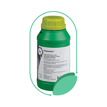 کود فیتو آمین لبوسل