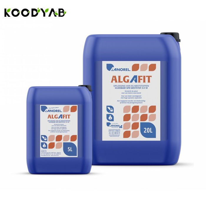 کود آلگافیت آنورل