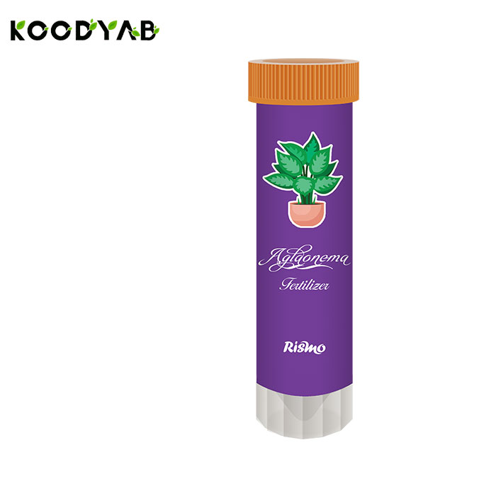 کود آگلونما ریسمو