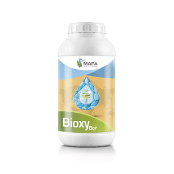 کود بیوکسی بور مافا