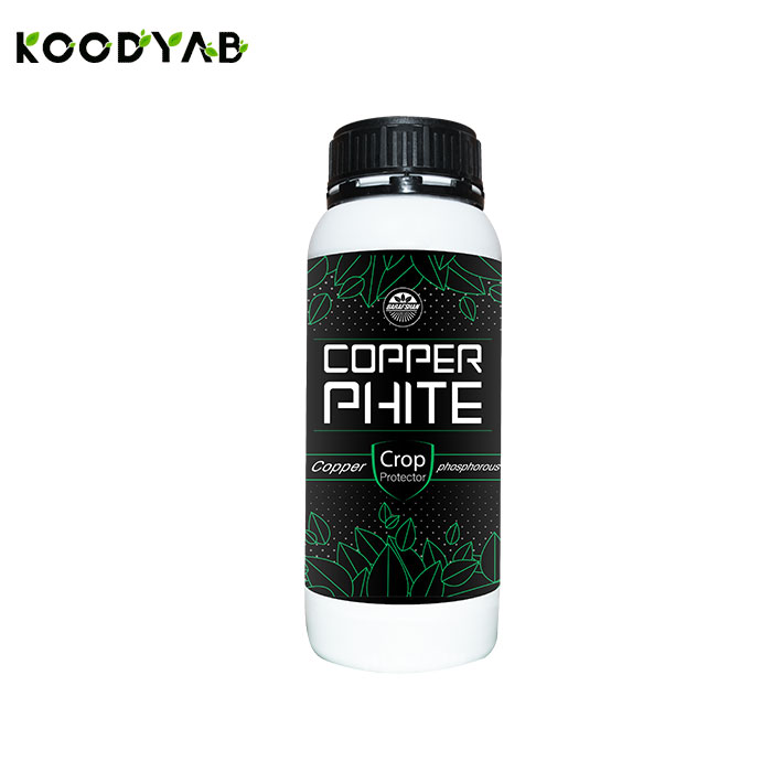 کود کوپرفیت بارافشان