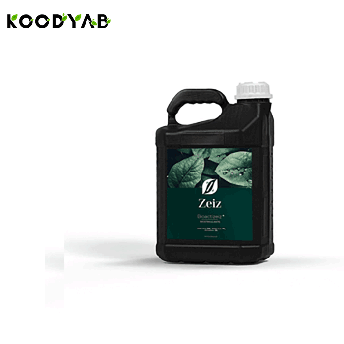 کود اکسی زایز