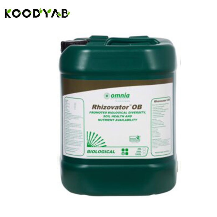 کود امنی بایو امنیا