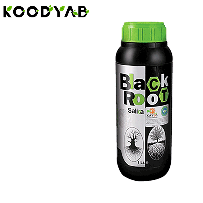 کود بلک روت آواگرو