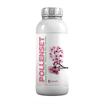 کود پولن ست راپتوپیا