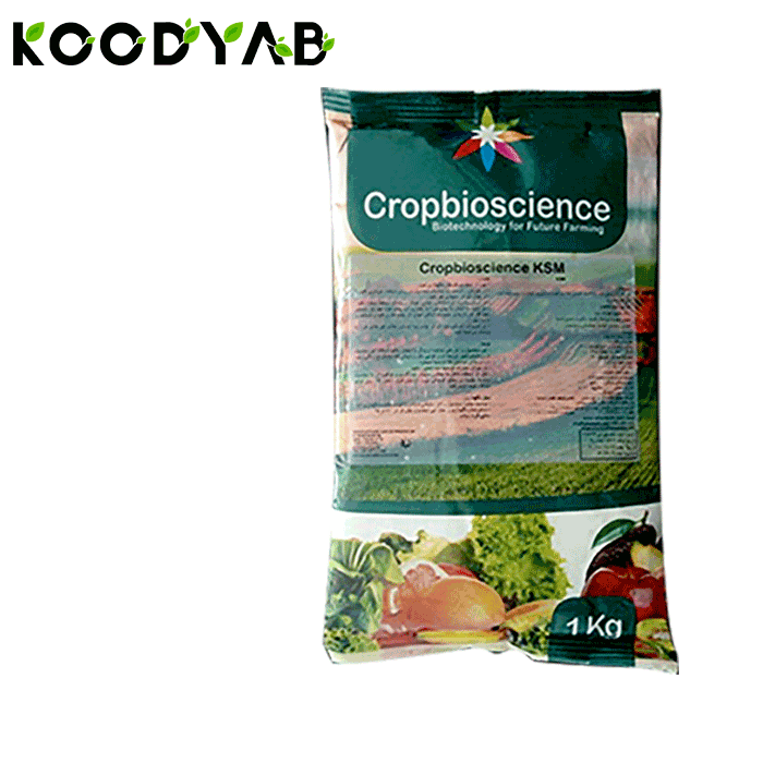 کود آهن پلاس بیوساینس