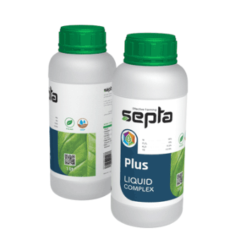 کود پلاس سپتا