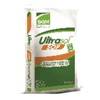 کود اولتراسول اس اُ پی اس کیو ام