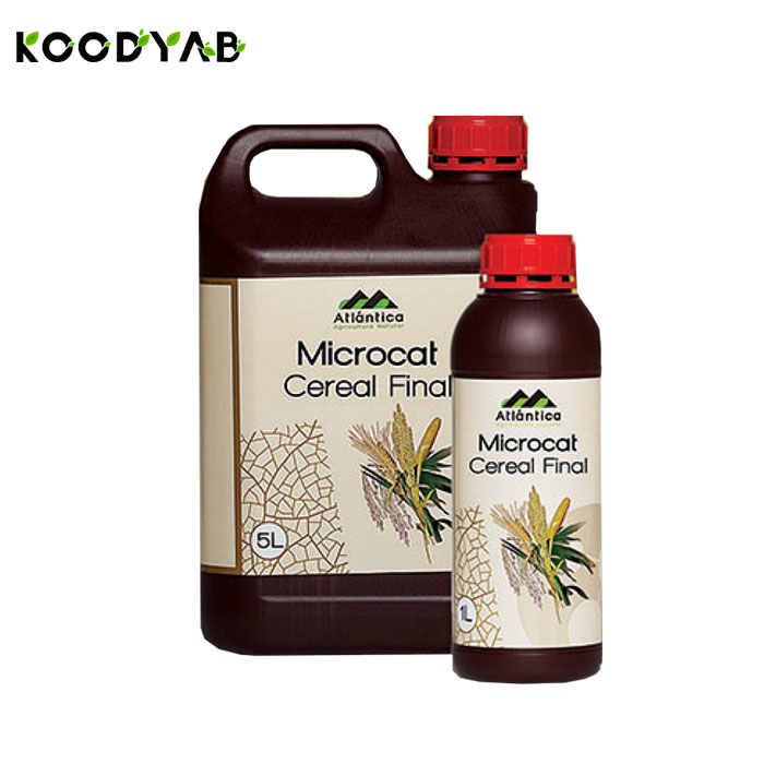 کود میکروکت سرال فینال آتلانتیکا