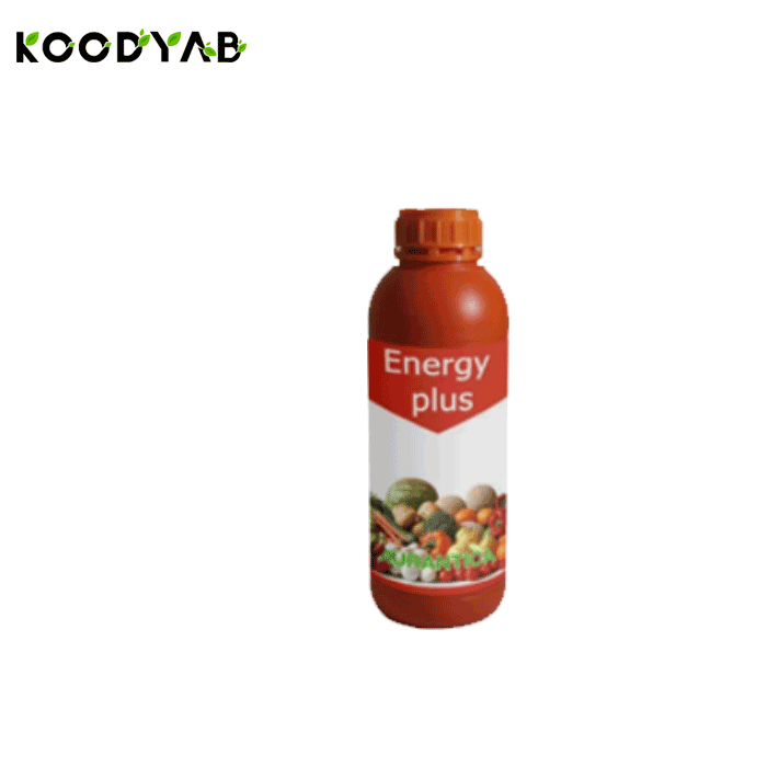 کود انرژی پلاس اورانتیکا