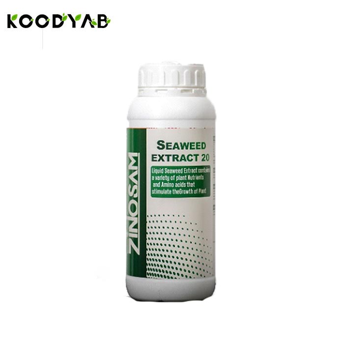 کود مایع جلبک دریایی  زینوسام 