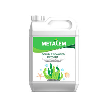 کود  جلبک دریایی مایع متالم 