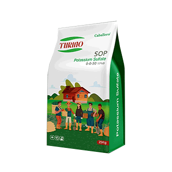 کود سولو پتاس تورینو