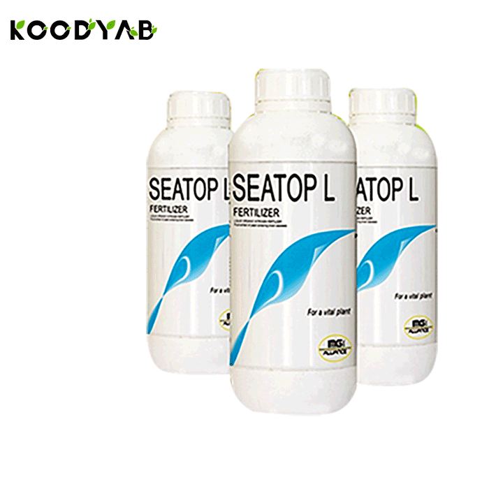 کود سی تاپ آی ام جی