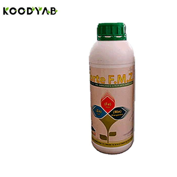 کود کورت اف ام زد کورتسا