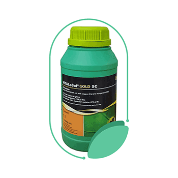 کود ویتالوسل گلد اس سی لبوسل