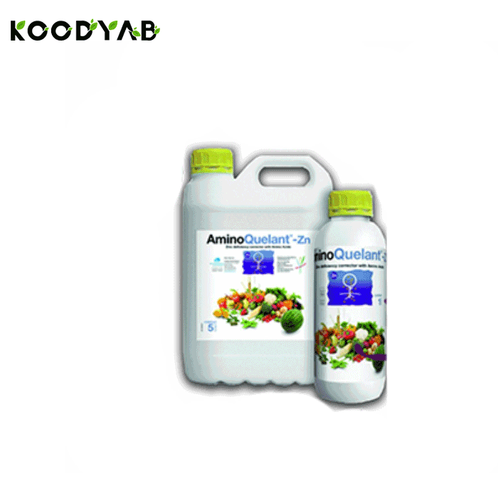 کود آمینو کوالانت روی بیوبریکا