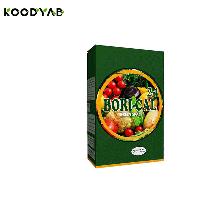 کود بر کلسیم 24 جی اس سی