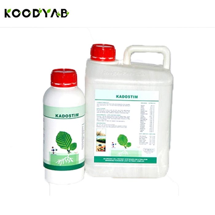 کود کادوستیم الیگرو