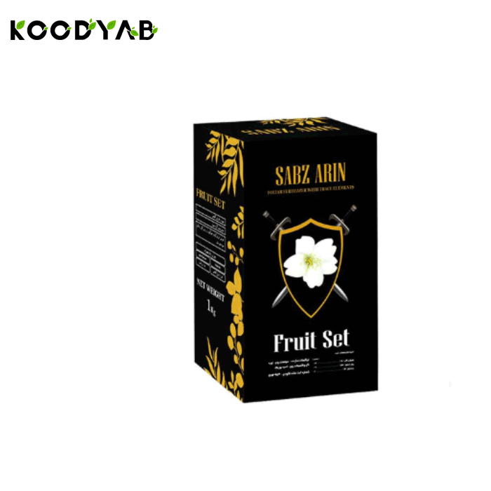 کود فروت ست مشکی سبز آذر کاسپین 