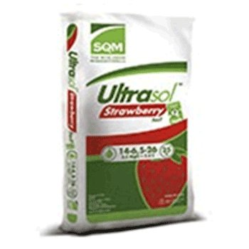 کود اولتراسول توت فرنگی اس کیو ام