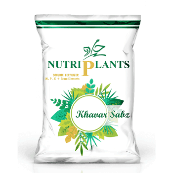 کود سولفات پتاسیم نوتری پلنتس سبز آذر کاسپین
