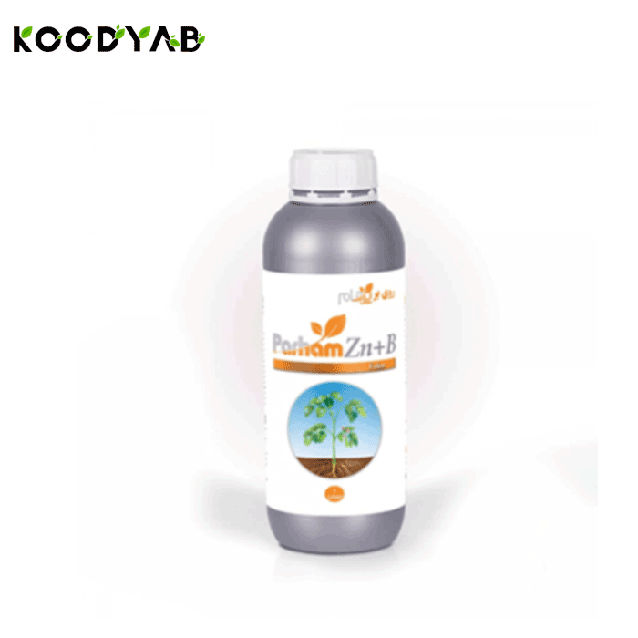 کود روی بر پرهام