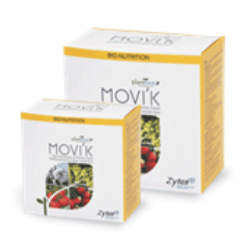 کود موویک زیتکس