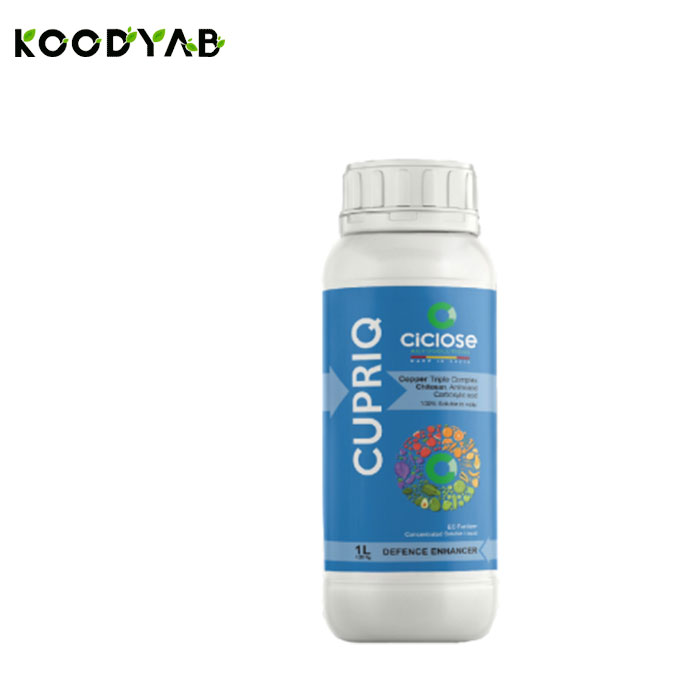 کود کوپریک سیکلوز