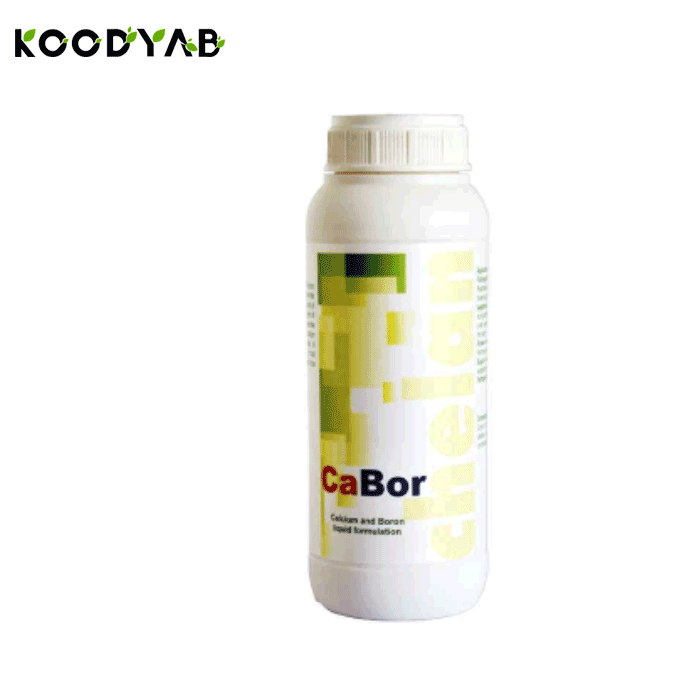 کود کابر گمانیچر   