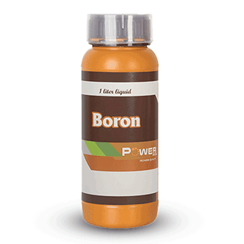 کود پاور بر تیلوکس