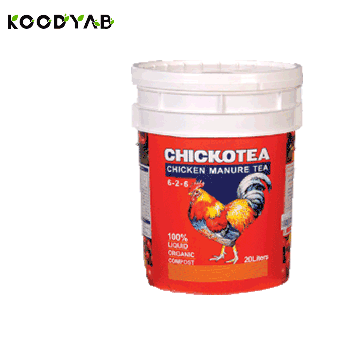 کود چیکن ماچور تی چیکوتی