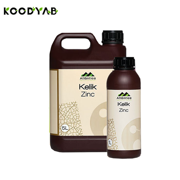 کود کلیک زینک آتلانتیکا