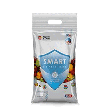 کود 14 14 14  کینجنتا