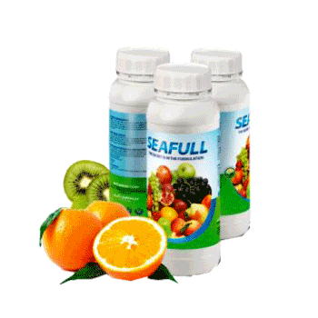 کود سی فول داتیس