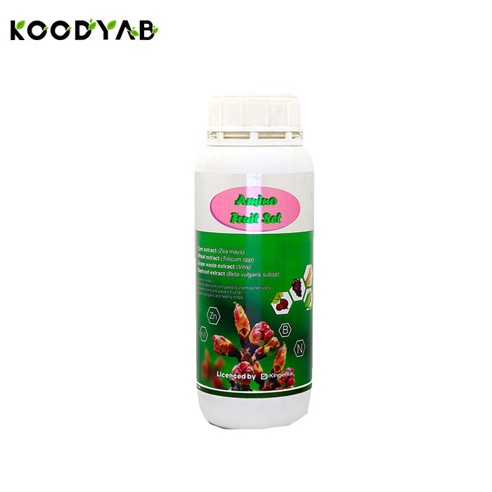 کود آمینو کلات فروت ست هلسی سبزکاوشان