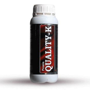 کود پروکسین کوالیتی کا میثاق