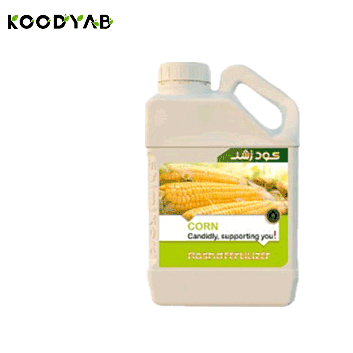 کود ذرت رشد