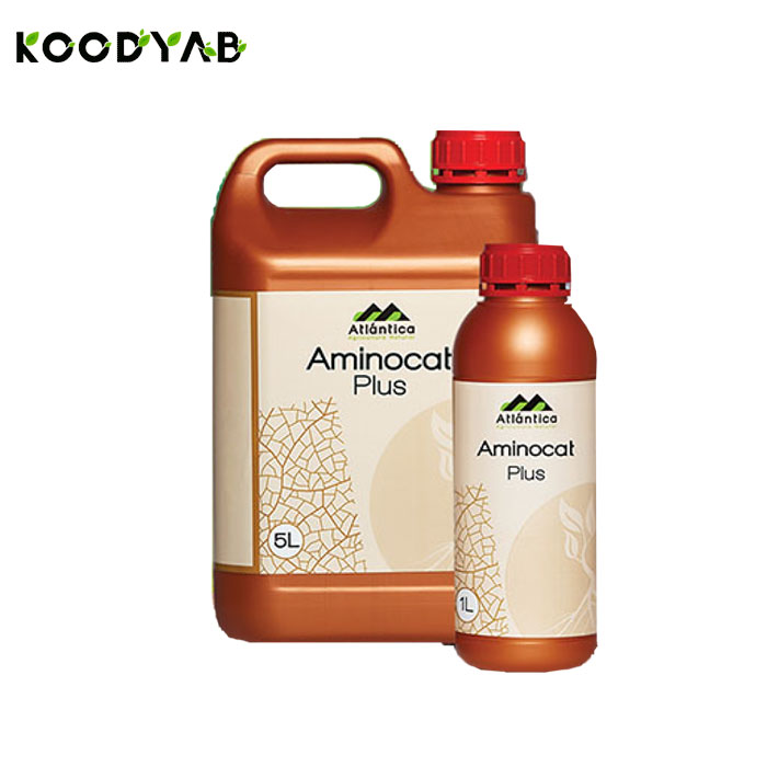 کود آمینوکت پلاس آتلانتیکا