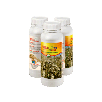 کود ویتال پلاس دبلیو بی داتیس