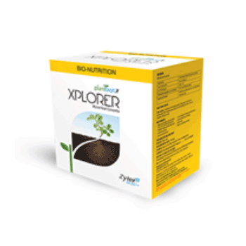 کود ایکس پلورر زیتکس