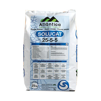 کود سولوکت  5 5 25 آتلانتیکا